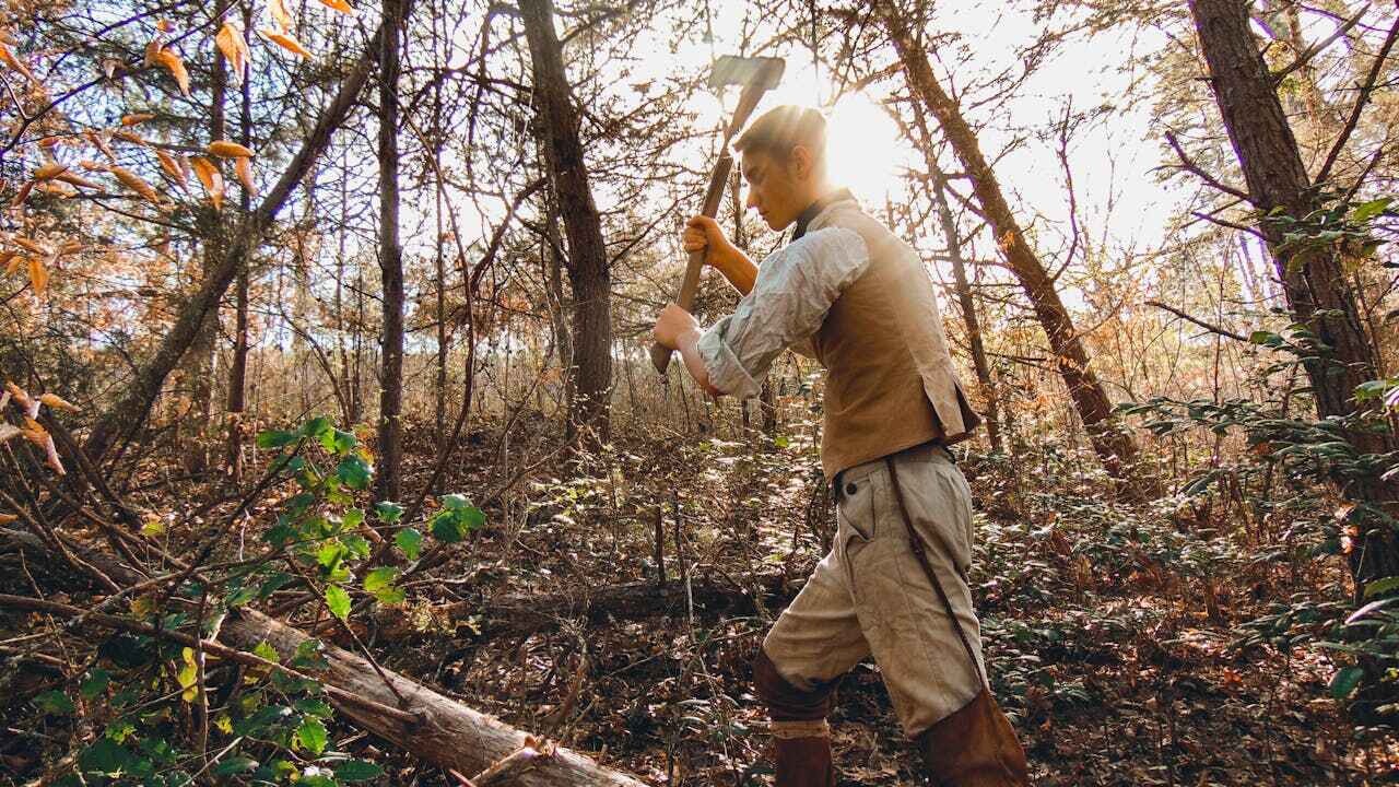 Best Tree Cutting Near Me  in Groves, TX